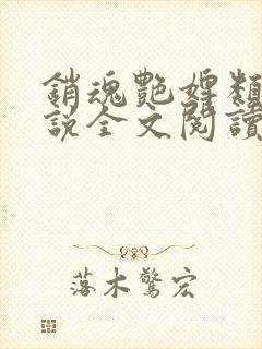 销魂艳婢类似小说全文阅读封面