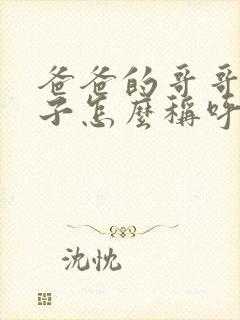 爸爸的哥哥的儿子怎么称呼