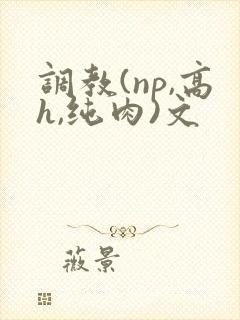 调教(np,高h,纯肉)文