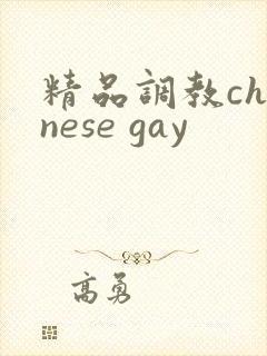 精品调教chinese gay