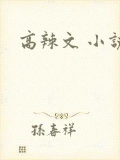 高辣文 小说