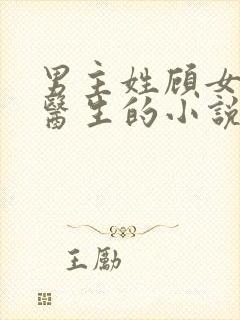 男主姓顾女主是医生的小说