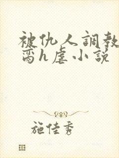 被仇人调教成禁脔h虐小说