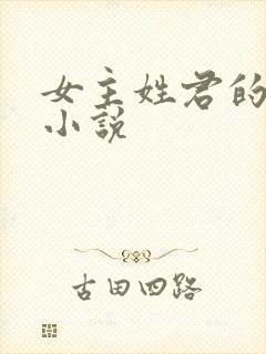 女主姓君的玄幻小说