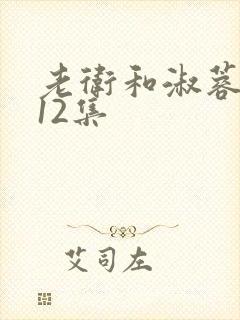 老卫和淑蓉7—12集