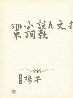 sm小说h文拘束调教