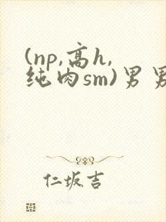 (np,高h,纯肉sm)男男