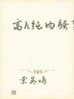 高h纯肉骚货封面