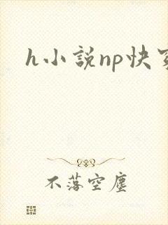h小说np快穿