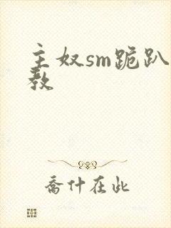 主奴sm跪趴调教