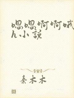 嗯嗯啊啊哦哦高h小说