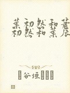 叶初然和萧辰萧初然和叶辰的小说