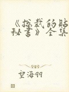 《总裁的贴身男秘书》全集封面