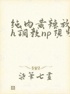 纯肉黄辣放荡高h调教np视频