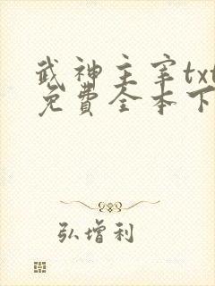 武神主宰txt免费全本下载