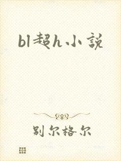 bl超h小说