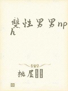 双性男男np高h封面