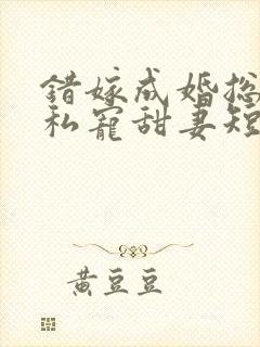 错嫁成婚总裁的私宠甜妻短剧