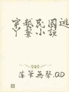 穿越民国逃荒的丫鬟小说