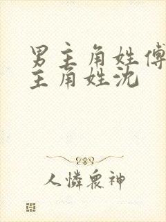 男主角姓傅,女主角姓沈