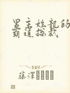 男主姓龙的小说霸道总裁封面