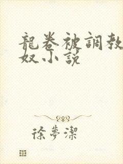 龙卷被调教成肉奴小说