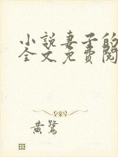 小说妻子的秘密全文免费阅读全文