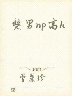 双男np高h