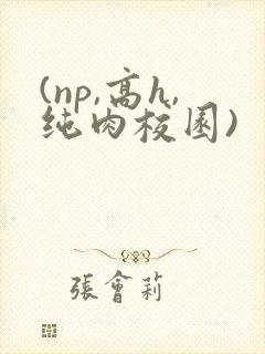(np,高h,纯肉校园)