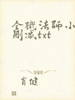 全职法师小说无删减txt