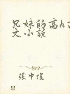 兄妹的高h高辣文小说