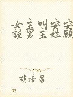 女主叫安安的小说男主姓顾