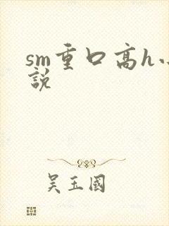 sm重口高h小说封面