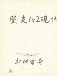 双夫1v2现代