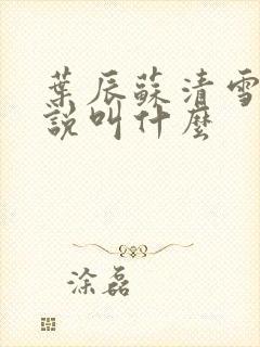 叶辰苏清雪的小说叫什么