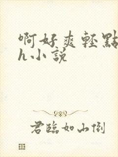 啊好爽轻点啊嗯h小说