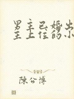 男主已婚出轨女主上位的小说