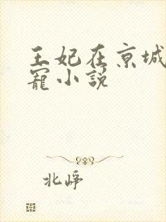 王妃在京城当团宠小说