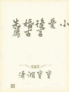 先婚后爱小说推荐古言