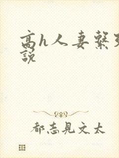 高h人妻系列小说