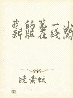 我的第一小说最新版在线阅读全文