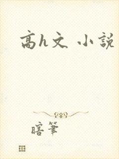 高h文 小说