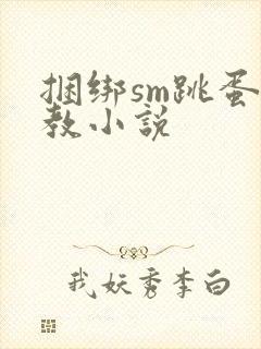 捆绑sm跳蛋调教小说