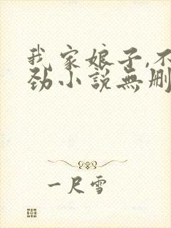 我家娘子,不对劲小说无删减封面