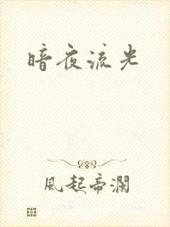 暗夜流光封面
