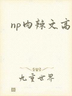 np肉辣文高h