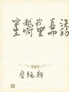 穿越我真没想重生啊里面的小说