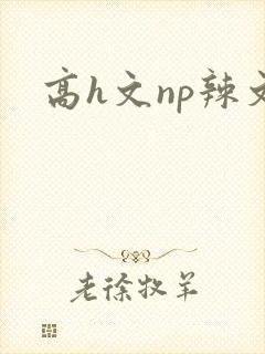 高h文np辣文