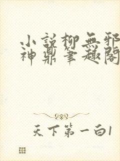 小说柳无邪吞天神鼎笔趣阁
