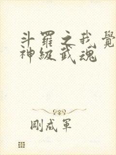斗罗之我觉醒了神级武魂